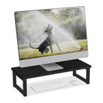 Relaxdays Support pour Moniteur, rehausseur pour Ordinateur sur Le Bureau, Design Moderne, 15 x 55 x 23 cm, Noir