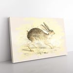 Big Box Art Vintage Joseph Wolf Black-Tailed Jack-Rabbit French Cream Canvas Wall Art Print Ready to Hang Picture, 76 x 50 cm (30 x 20 Inch), Multi-Coloured