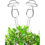Memkey - verrerie arrosage Champignon sphérique arroseur Automatique - 2 Paquets d'ampoules d'arrosage pour Les Plantes intérieures et extérieures