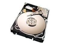 Seagate Constellation.2 ST91000640NS - Disque dur - 1 To - interne - 2.5" - SATA 6Gb/s - 7200 tours/min - mémoire tampon : 64 Mo