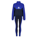 Ensembles de survêtement adidas  W HZ   T TS