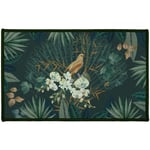 1001kdo - Tapis Multi-usage Matinea 50x80cm