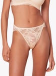 Triumph Amourette Charm Delight Highleg Tai Knickers, Fresh Powder