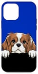 Coque pour iPhone 12 mini Adorable chien Cavalier King Charles Épagneul