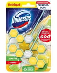 Domestos WC-pallo, sitruuna, 2 kpl