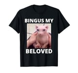 Funny Bingus My Beloved Hairless Sphinx Cat Bingus Cat Meme T-Shirt