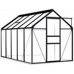 Maisonchic - Serre de Jardin Serre De Jardinage avec cadre de base Anthracite Aluminium 5,89 m² 25015