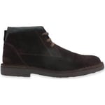 Chaussures Café Noir  CAFENOIR Stringata Stile Clark Uomo Testa di Moro TE6000