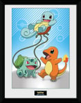 OFFICIAL POKEMON KANTO STARTERS FRAMED PRINT PICTURE POSTER WALL HANGING