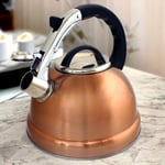 Whistling Stovetop Kettle Copper Stainless Steel 3.5L Gas Electric Induction Hob