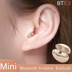 Nya A6 Mini Bluetooth Headset 5.3 Invisible Earbuds Trådlösa hörlurar Tws Noise Reduction Sleep In Ear-hörlurar kompatibla med musik -HG Skin Color