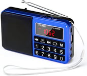 J-429SW Portable Radios Small AM/FM/SW, Rechargeable Radio with AUX/SD/TF/MP3 Sp