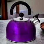 Whistling Stovetop Kettle Metallic Purple Stainless Steel Gas Electric Hobs 2.5L