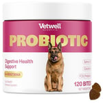 Vetwell Probiotics for Dogs - 120 Chews, Digestive Care with Dog Probiotics Enterococcus Faecium, Colostrum from Bovine, Prebiotic Chicory Inulin, Liver Flavour Dog Probiotic Supplements