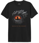 House Of the Dragon Men's Mehoftdts002 T-Shirt, Black, XXL