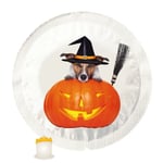 Happy Condoms Halloween Pumpkin Dog 1 st