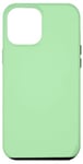 Coque pour iPhone 15 Plus Vert pastel rétro