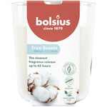 Bolsius True Scents - Coton Frais - Blanc - Lot de 6 Bougies Parfumées - 9,7 x 8,5 cm - Durée de combustion: 45 heures - Avec extraits naturels - Cire végétale naturelle - Sans huile de palme