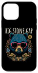 Coque pour iPhone 12 mini Big Stone Gap Virginia USA Motif ours insolite