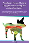 Andalusian Mouse-Hunting Dog (Ratonero Bodeguero Andaluz) Activities Andalusian Mouse-Hunting Dog Tricks, Games & Agility Includes