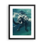 Affiche Poster 30x40cm Tableaux Image Photo éléphant animal eau Wall Art