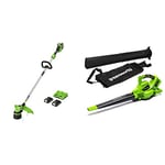 Greenworks Le Coupe-Herbe sans fil2 X 24V Comprend Une Batterie 2 x 2Ah, Un Chargeur à Double Fente et Un aspirateur à Feuilles et Un souffleur de Feuilles sans Fil 2X24V Outil 2-en-1 GD24X2BV