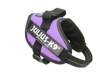 Julius-K9 IDC-Powerharness, Size Mini, Purple