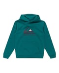 Quiksilver Garçon Big Logo Hoodie Youth Pull-Over, Teal Green, 14 Ans EU