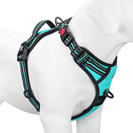 PoyPet No Pull Dog Harness, [Release on Neck] Reflective Adjustable No Choke Pet Vest with Front & Back 2 Leash Attachments, Soft Control Training Handle for Small Dogs(Mint Blue,S)