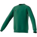 Adidas FS1900 CORE18 SW TOP Y Pullover unisex-child bold green 7-8A