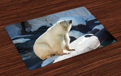 Zoo Place Mats Set of 4 Polar Bear in Park Rocks