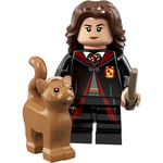 Hermione Granger & Crookshanks - Lego Harry Potter and Fantastic Beasts - 71022