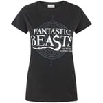 T-shirt Fantastic Beasts And Where To Fi  NS4622