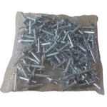 Jardiboutique - Rivet en inox de fixation baguette accroche liner boite de 100 piéces