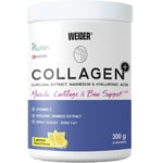 Weider Collagen Peptide Powder Skin Joint Bone Support 300g Lemon Zero Sugar