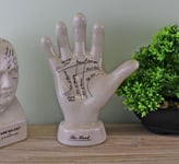 Palmistry Hand Ceramic Palm Jewellry Holder Sculpture Ornament Decor White 24cm