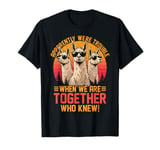 apparently we are trouble when we are together llama funny T-Shirt