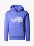 The North Face Kids' Drew Peak Hoody