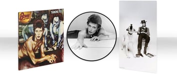 David Bowie Diamond dogs (50th anniversary) LP Picture