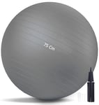 G5 HT SPORT Ballon de Fitness Gym Balls Premium Multifonction Balle Pilates Anti-Couples [55/65/75/75 CM] y Compris Pompe, Pilates, Exercices, Gymnastique et Yoga (Ø 75 cm (pour Hauteur Entre 179-188