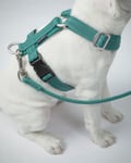 Easy Harness Reflekterande Hundsele Emerald - XXS