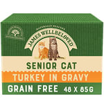 James Wellbeloved Grain Free Senior Turkey in Gravy Pouch 4 x 12 x 85g