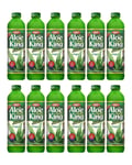 12 x OKF Aloe Vera King Drink Top Selling Korean Juice Wholesale 12x1.5L Bottles