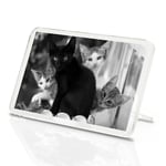 Classic Magnet With Stand - BW - Cute Kittens Black Tabby Ginger Cat #43908