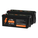 Litime - Batterie Lithium LiFePO4 24V 100Ah ,batterie solaire et éolienne stockage avec panneau solaire, Parfaite pour Camping-Car, Bateau, Moteur de