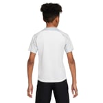 Nike Dri-fit Strike23 Short Sleeve T-shirt