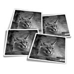 4x Square Stickers 10 cm - BW - Caracal African Lynx Cat  #38979