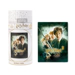 Grupo Erik - Puzzle 500 Pièces Harry Potter et la Chambre des Secrets | Puzzle Adulte et Enfant, Affiche Harry Potter