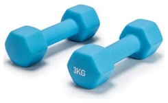 Shengluu Weights Dumbbells Sets Women Cast Iron Hex Dumbbell For Women And Men Exercise Barbell Set For Core And Strength Training (Color : Ocean Blue (3kgx2))