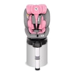 Lorelli Proxima i-Size - Turvaistuin, 0-18 kg, PINK&GREY.